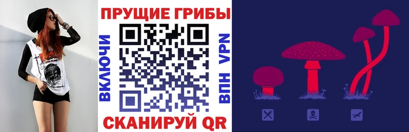 Галлюциногенные грибы Psilocybe  Гороховец 